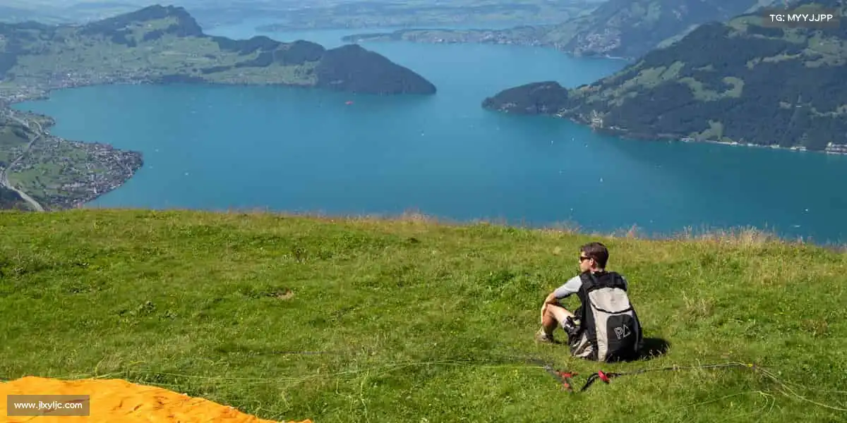 为什么选择我们