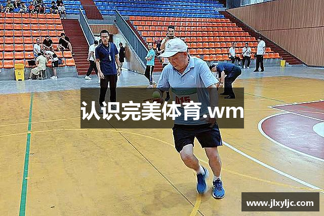 认识完美体育.wm